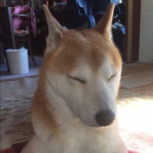 Meet your Posher, Bryant